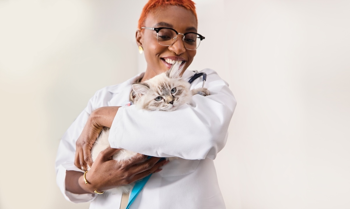 Vet holding a kitten