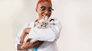 Vet holding a kitten