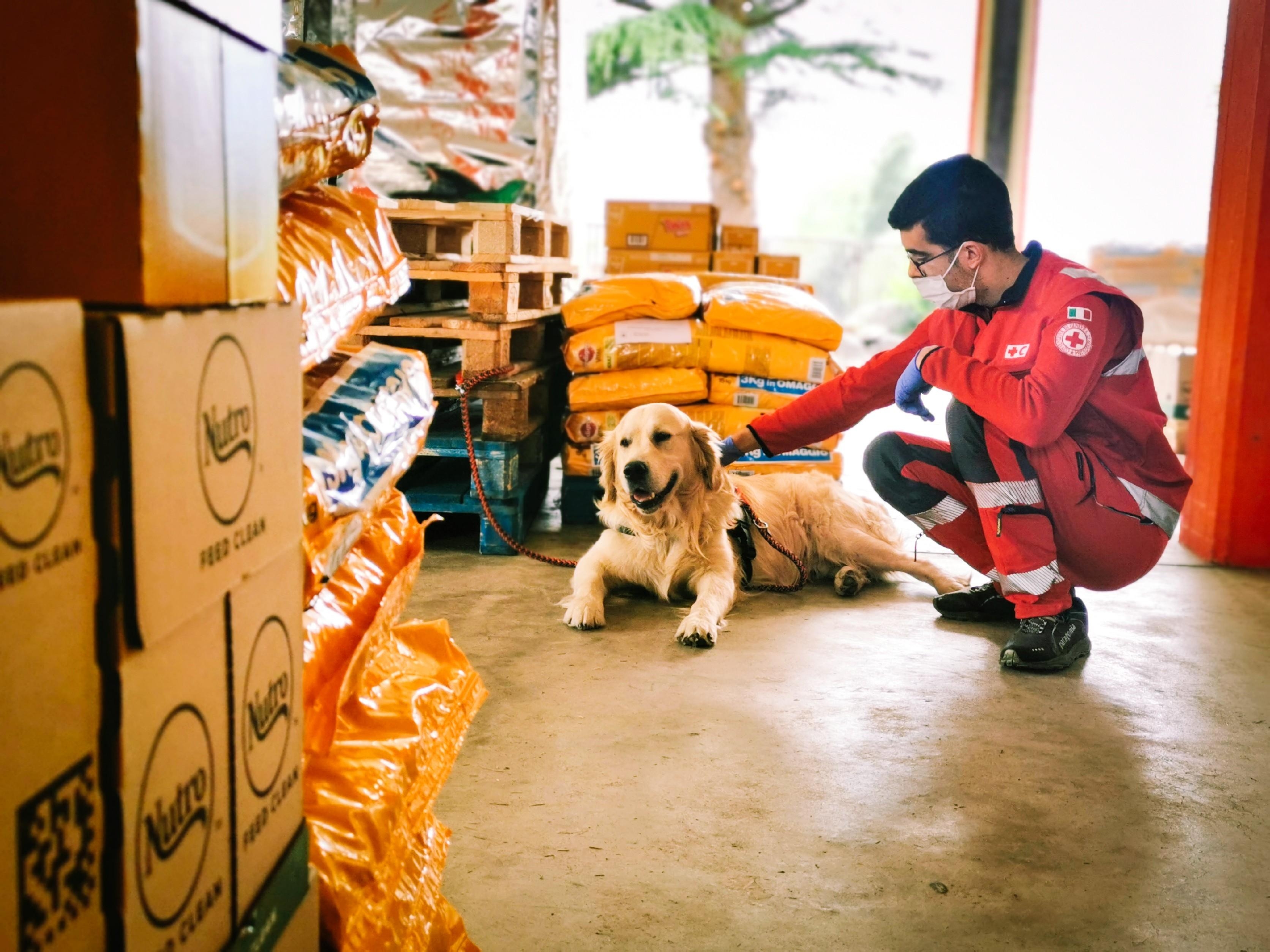 Man with dog for COVID