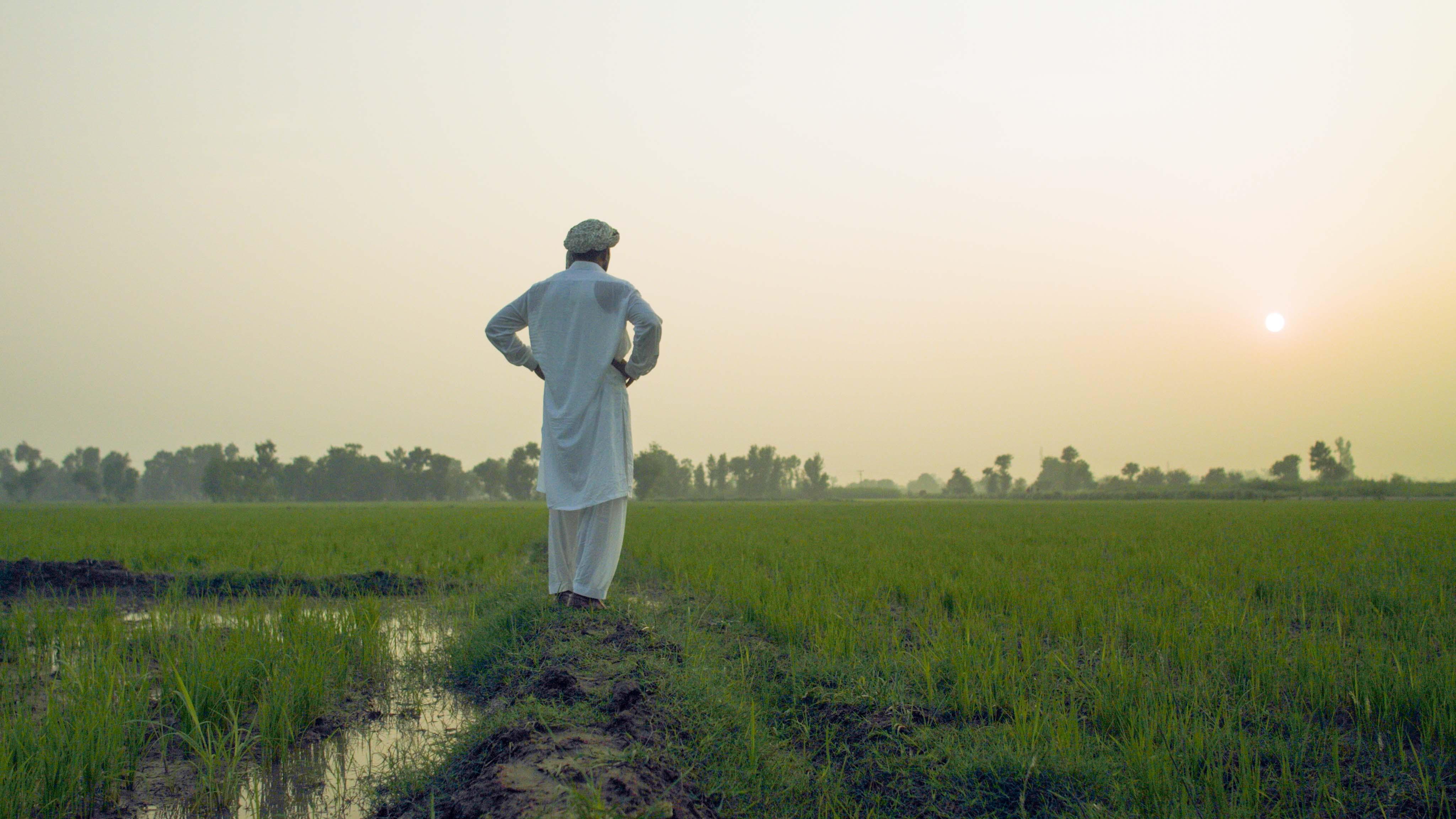 Five Principles Freedom