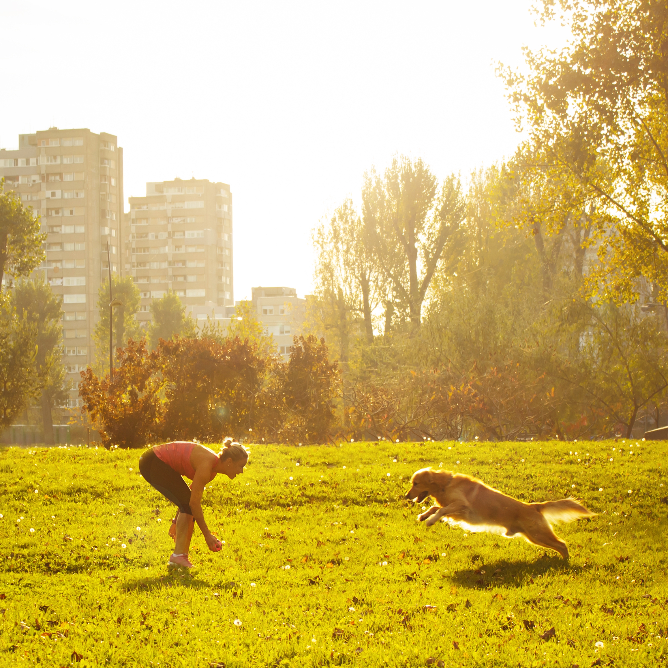 Woman and her dog playing in an urban park 
