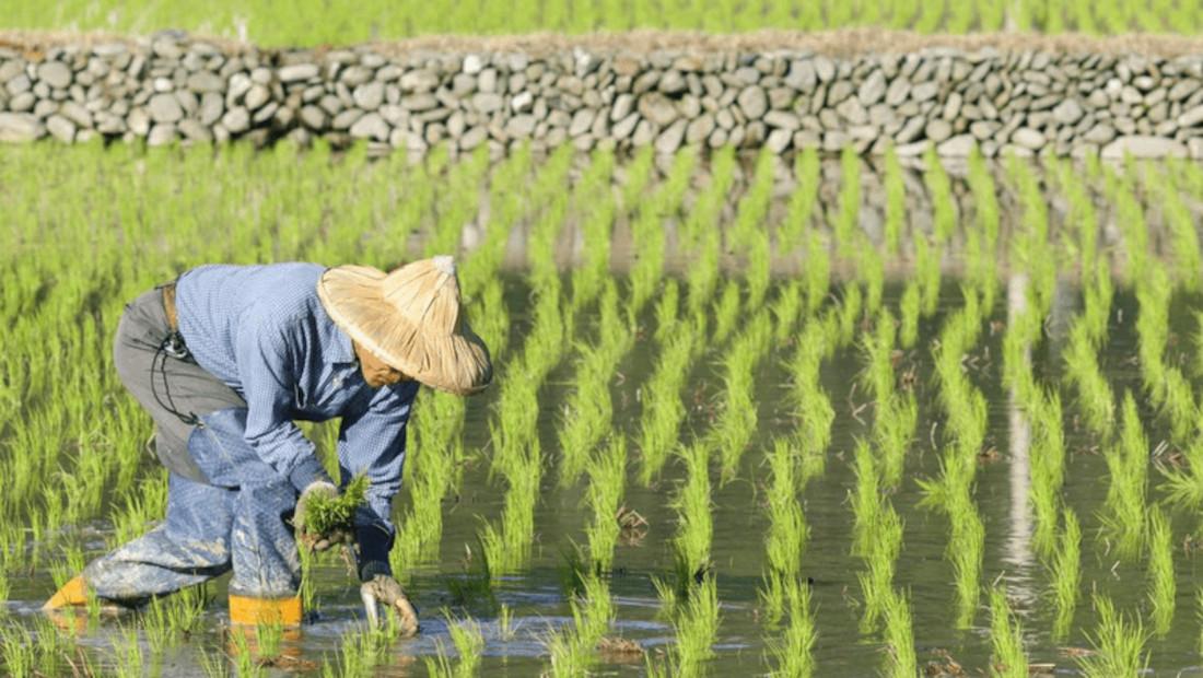 Ensuring precious natural resources through water conservation