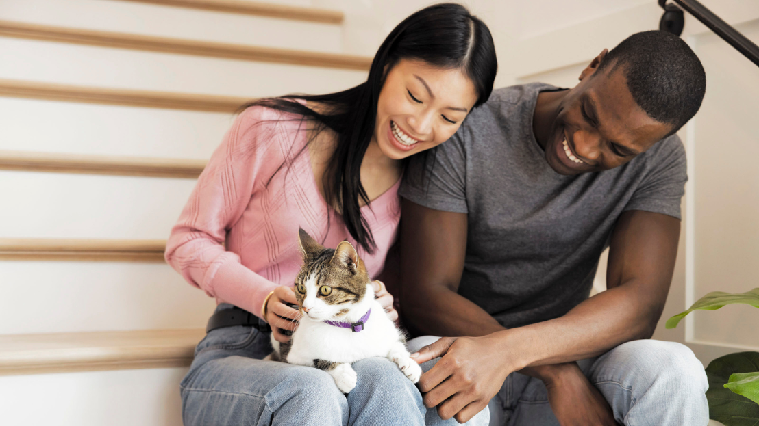 A couple sitting on the stairs with their cat
