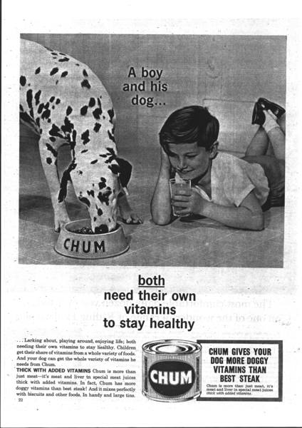 Advertisement for CHUM ® dog food from 1960 with a boy and his dog saying “both need their own vitamins to stay healthy”