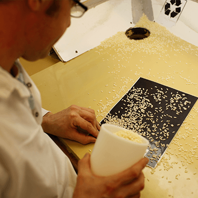 Mars Associate working with a BEN’S ORIGINAL™ rice product.