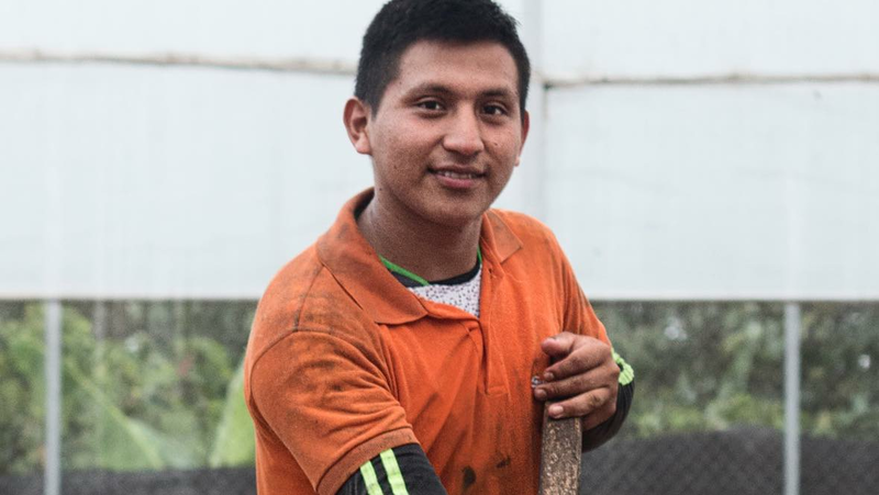 Increasing farmer incomes