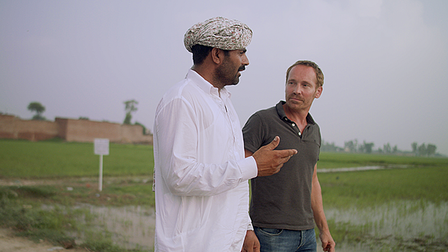 Nourishing Wellbeing Supply Chain