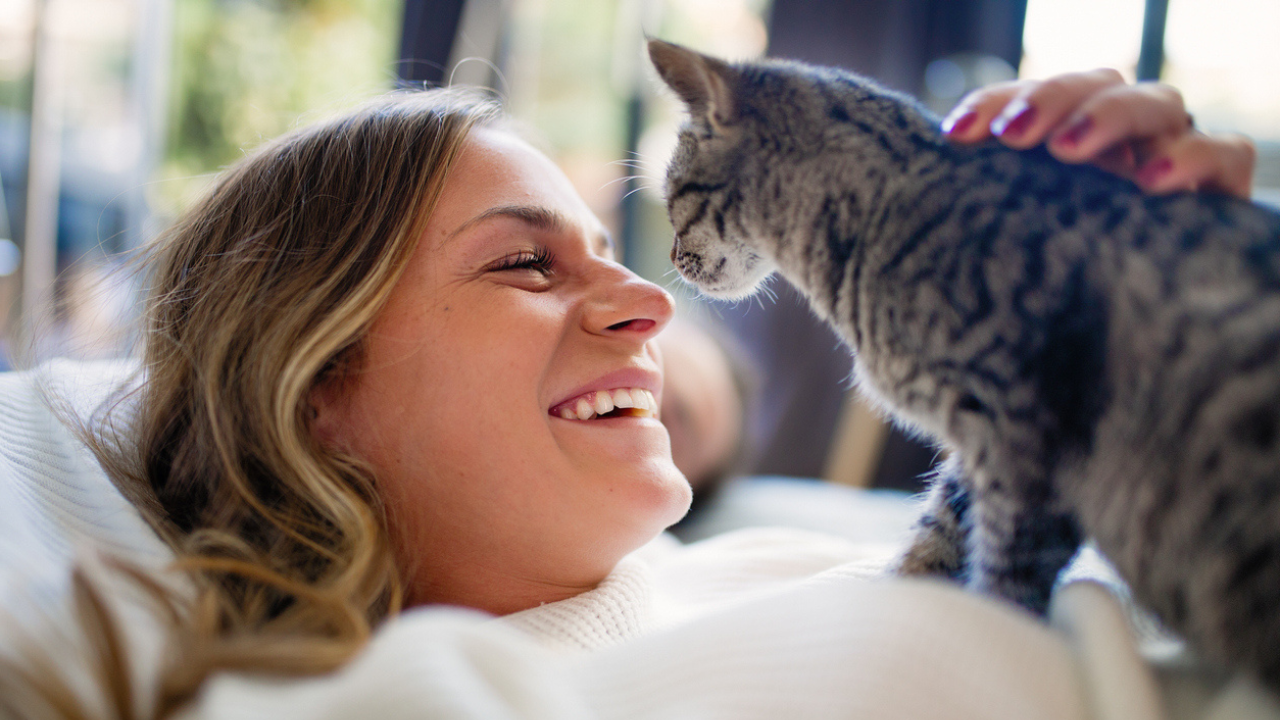 A woman smiling while petting a kitten