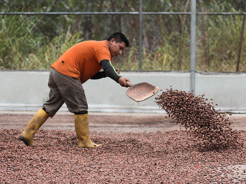 Thriving People - Policies and Practices