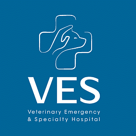 VES logo